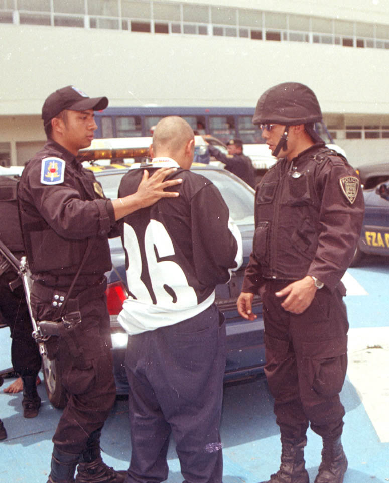 MARA SALVATRUCHA