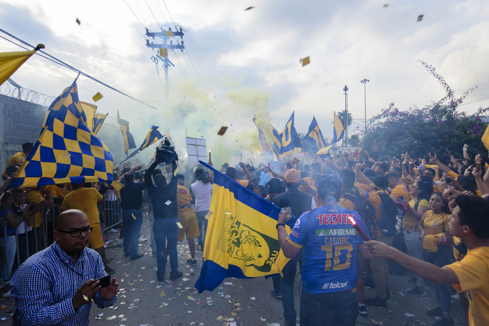 Tigres