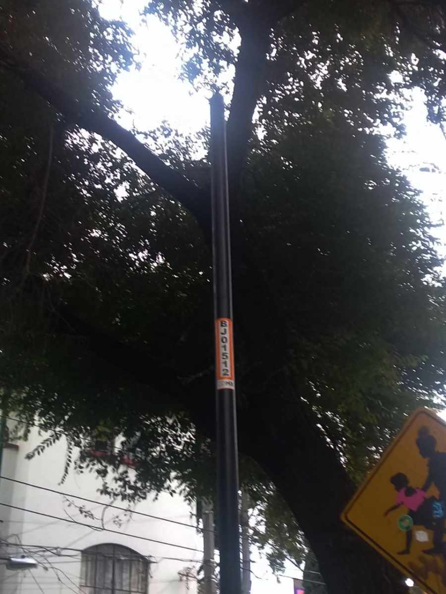 Alumbrado público en la BJ