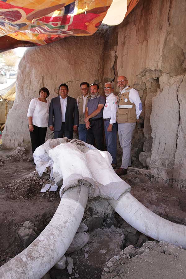 Museo del Mamut