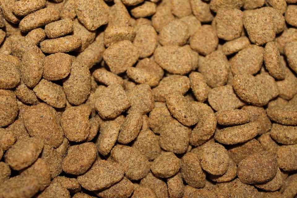 alimento para mascotas