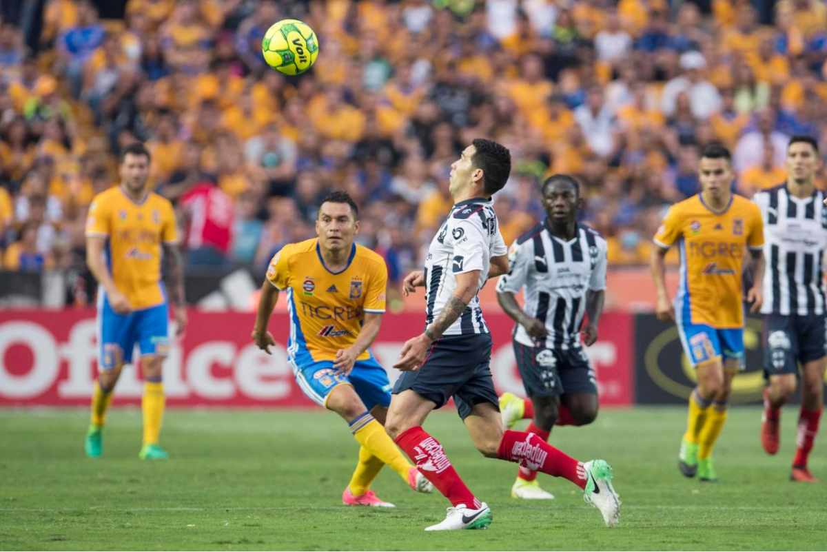 tigres