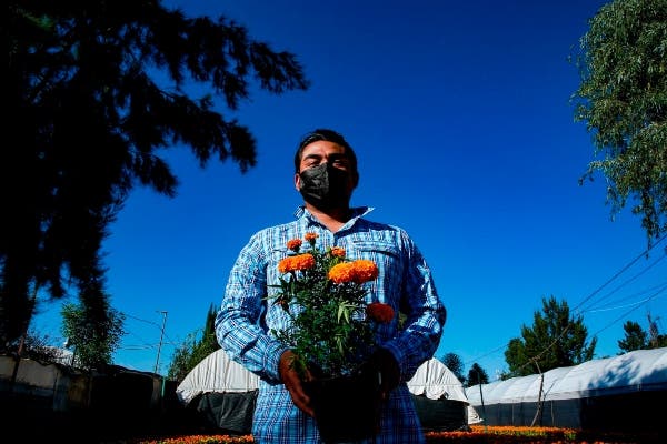 Vendedores de cempasúchil regresa junto al Día de Muertos