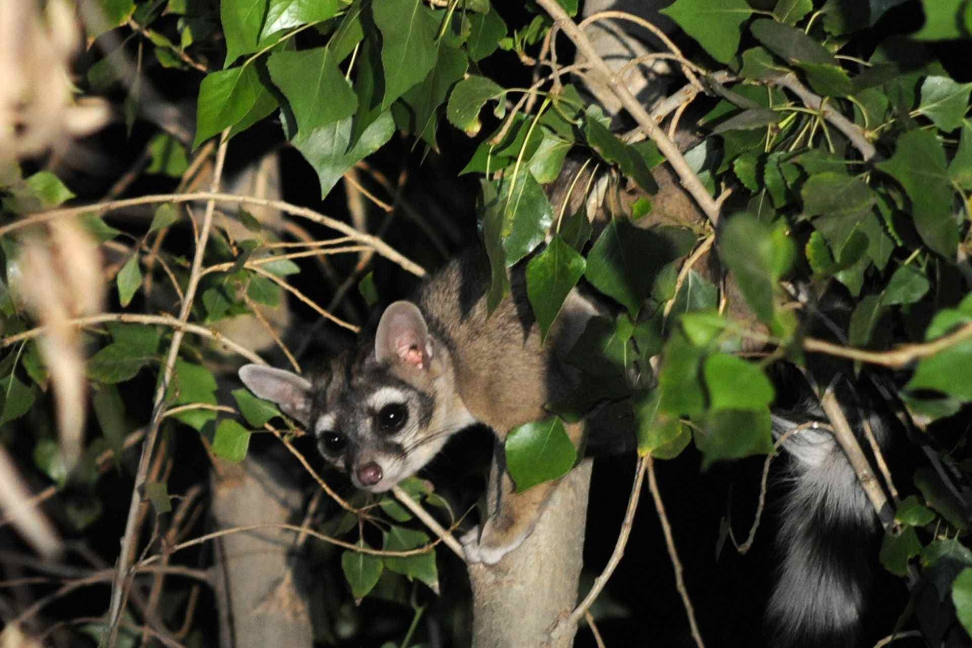 cuartoscuro