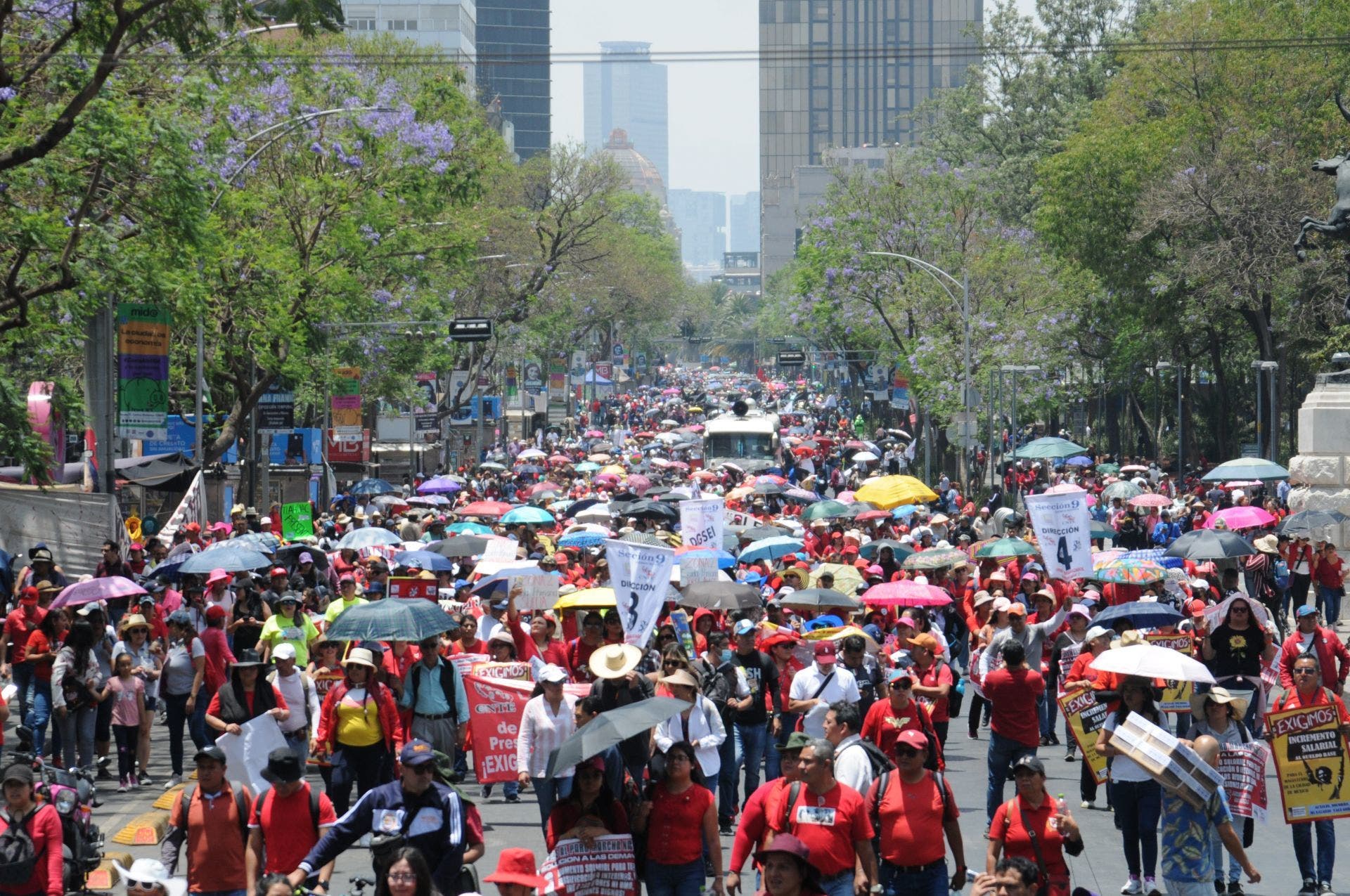 marcha cnte