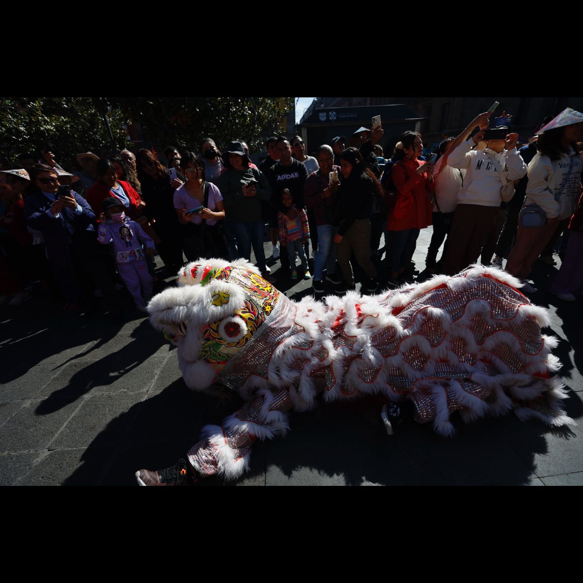 Año Nuevo chino en Ciudad de México