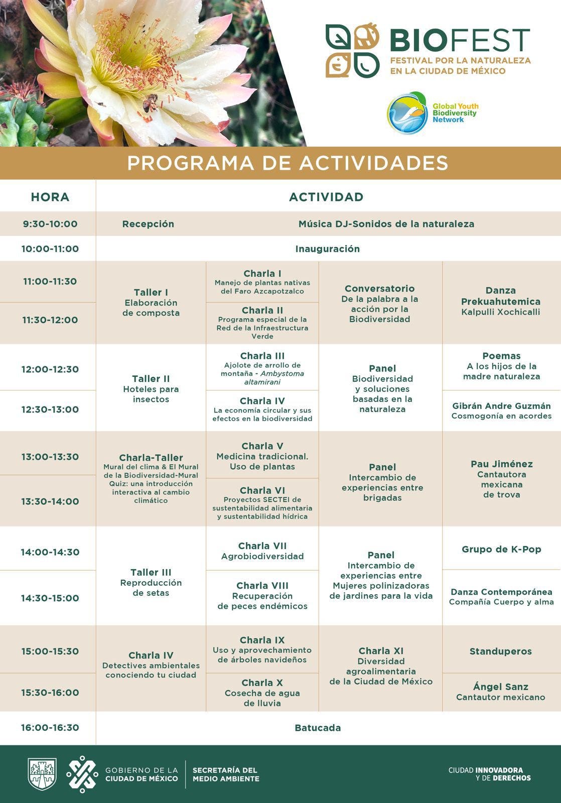 Programa de actividades