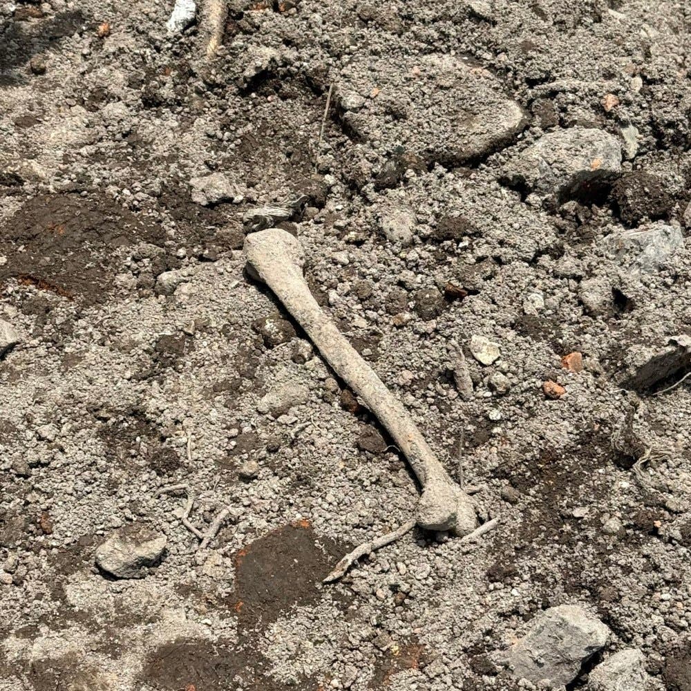 Antiguos restos humanos, presumiblemente del antiguo camposanto