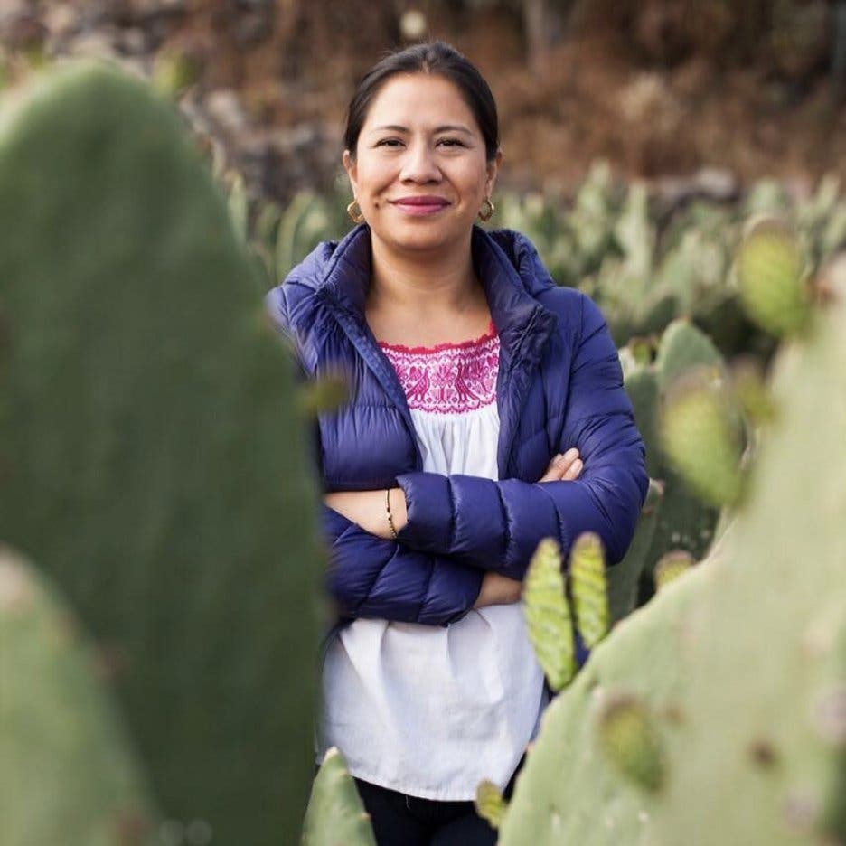 magali alvarado álvarez