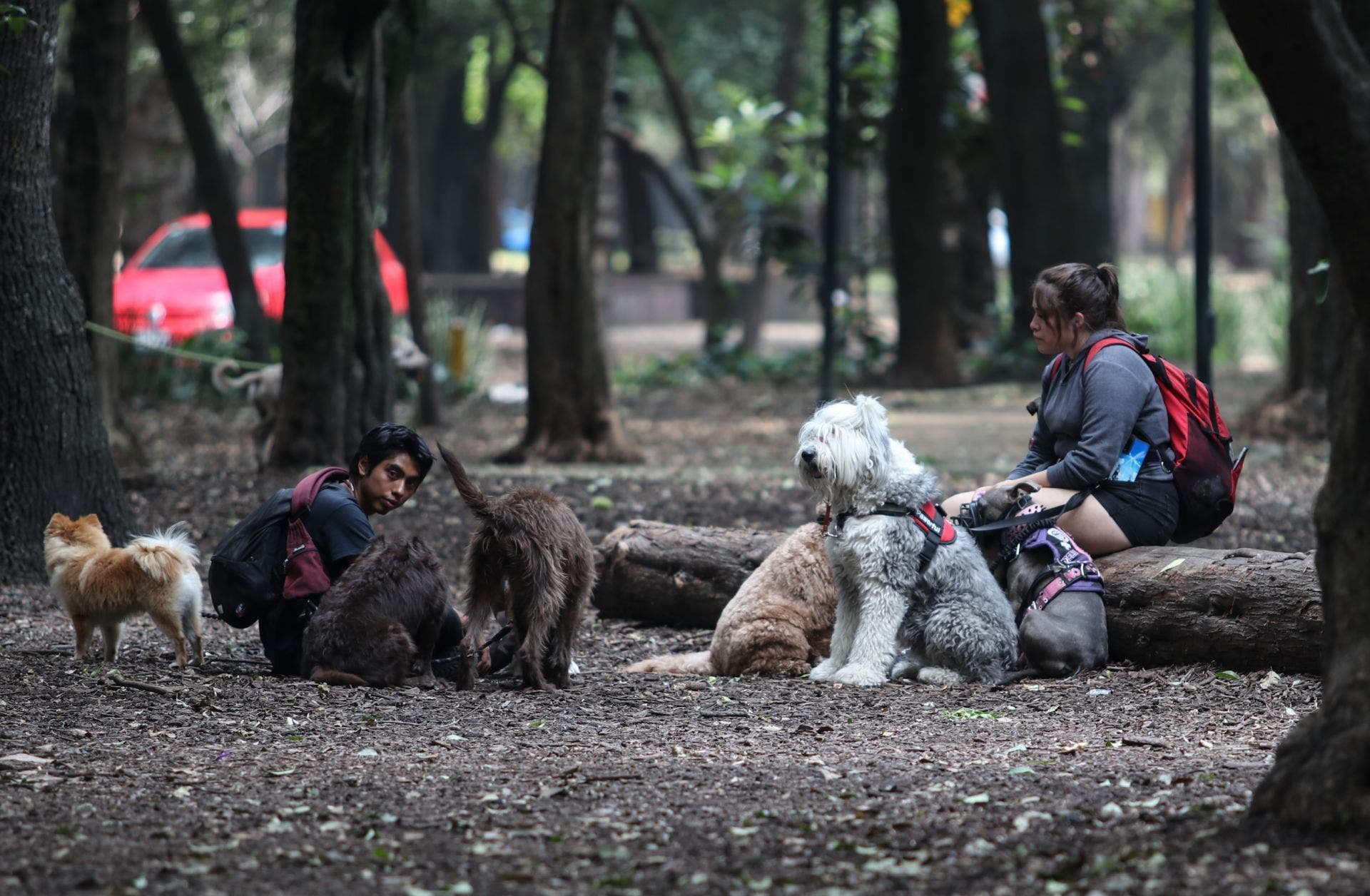  REAPERTURA PARQUE GANDHI