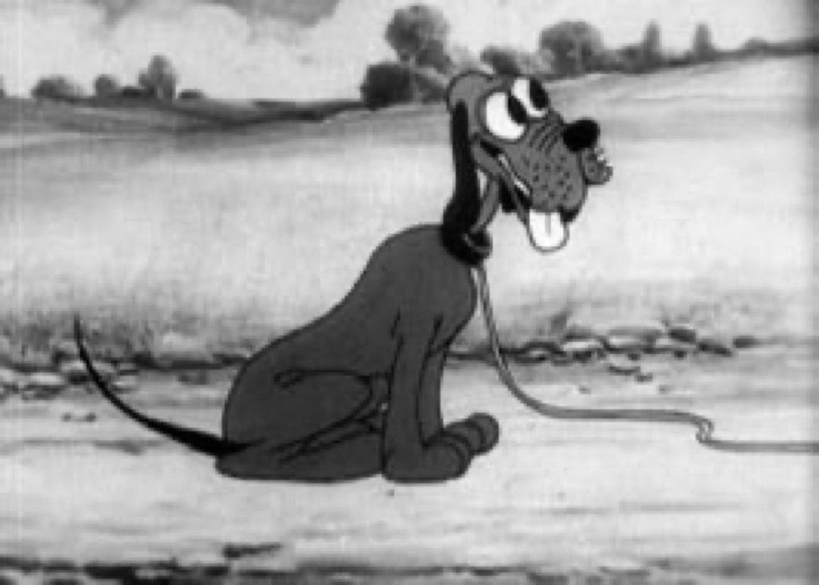 PLUTO DOMINIO PUBLICO