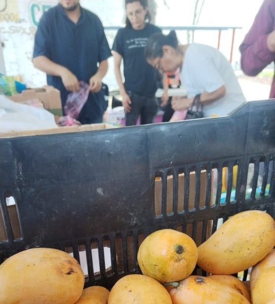 Abasto Fuego Nuevo 1