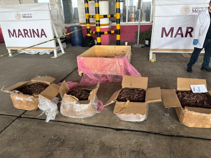Decomisan 96 kilos de droga en el Puerto de Veracruz