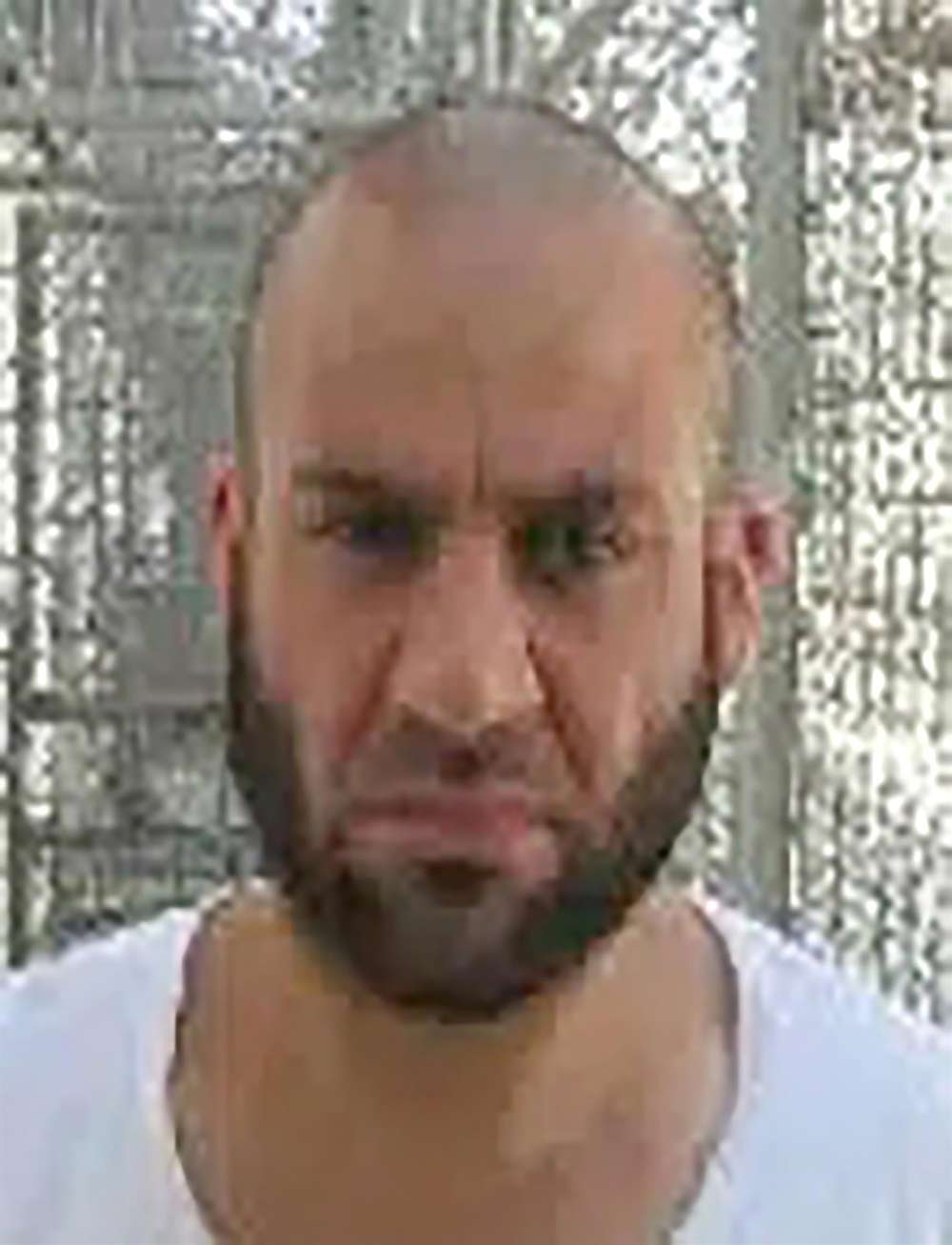 Abu Ibrahim al Hashimi al Qurashi