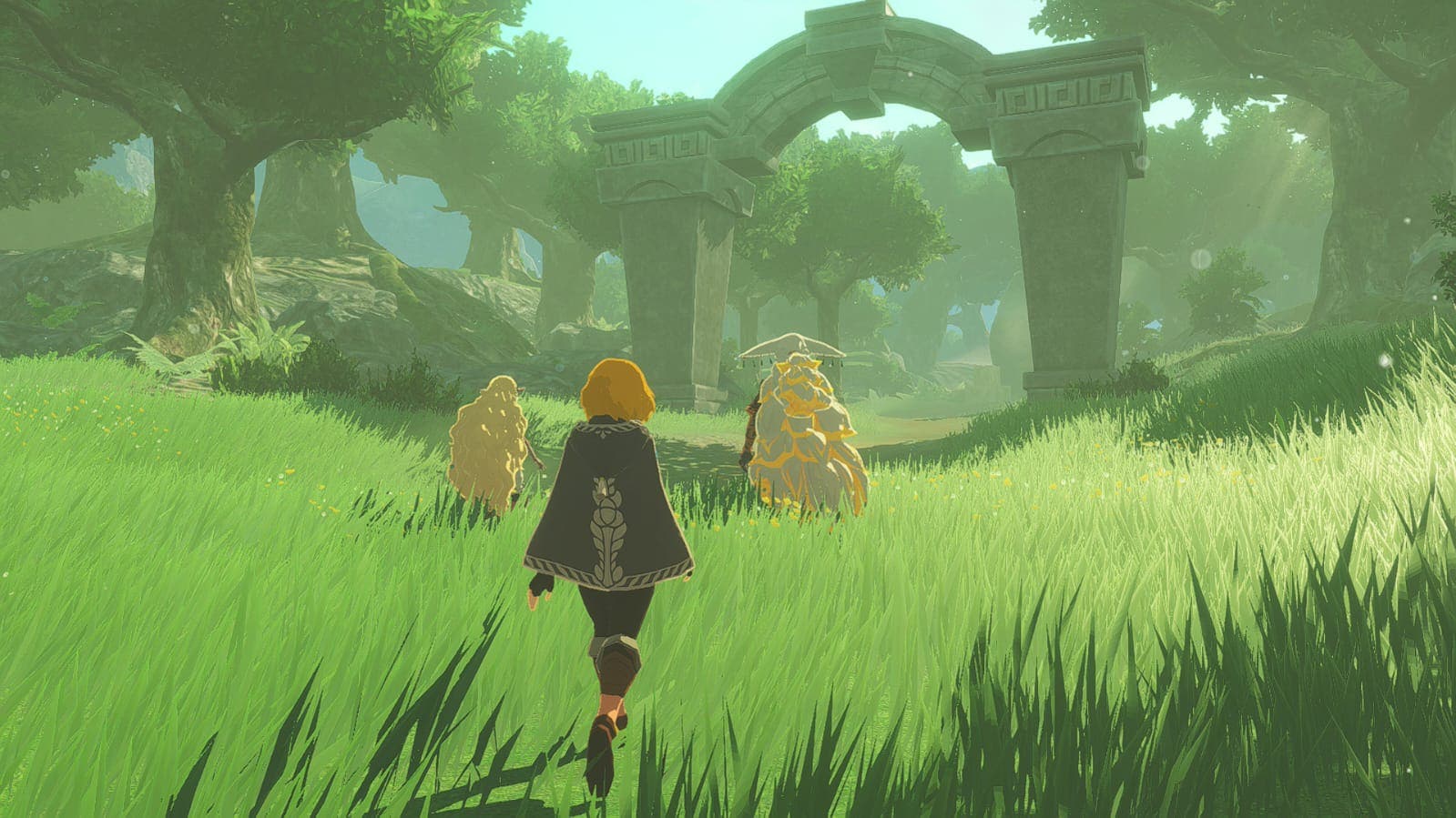 Hyrule Warriors captura de pantalla