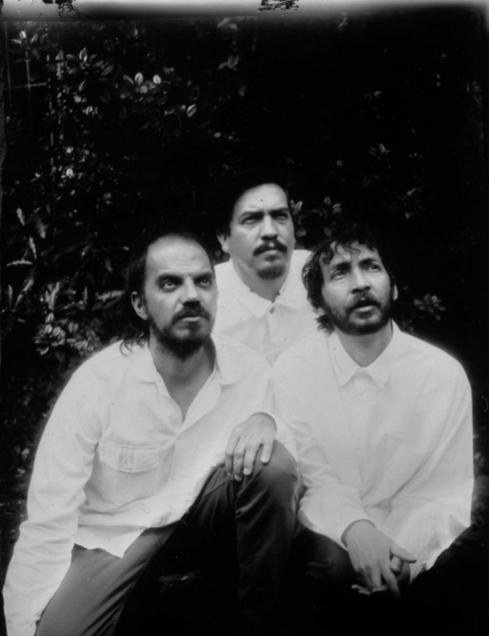 los pirañas