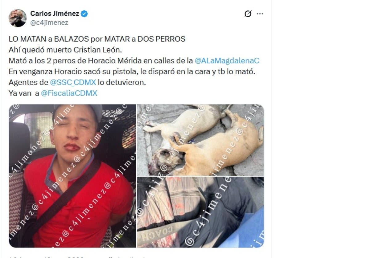 Mata hombre asesino perros