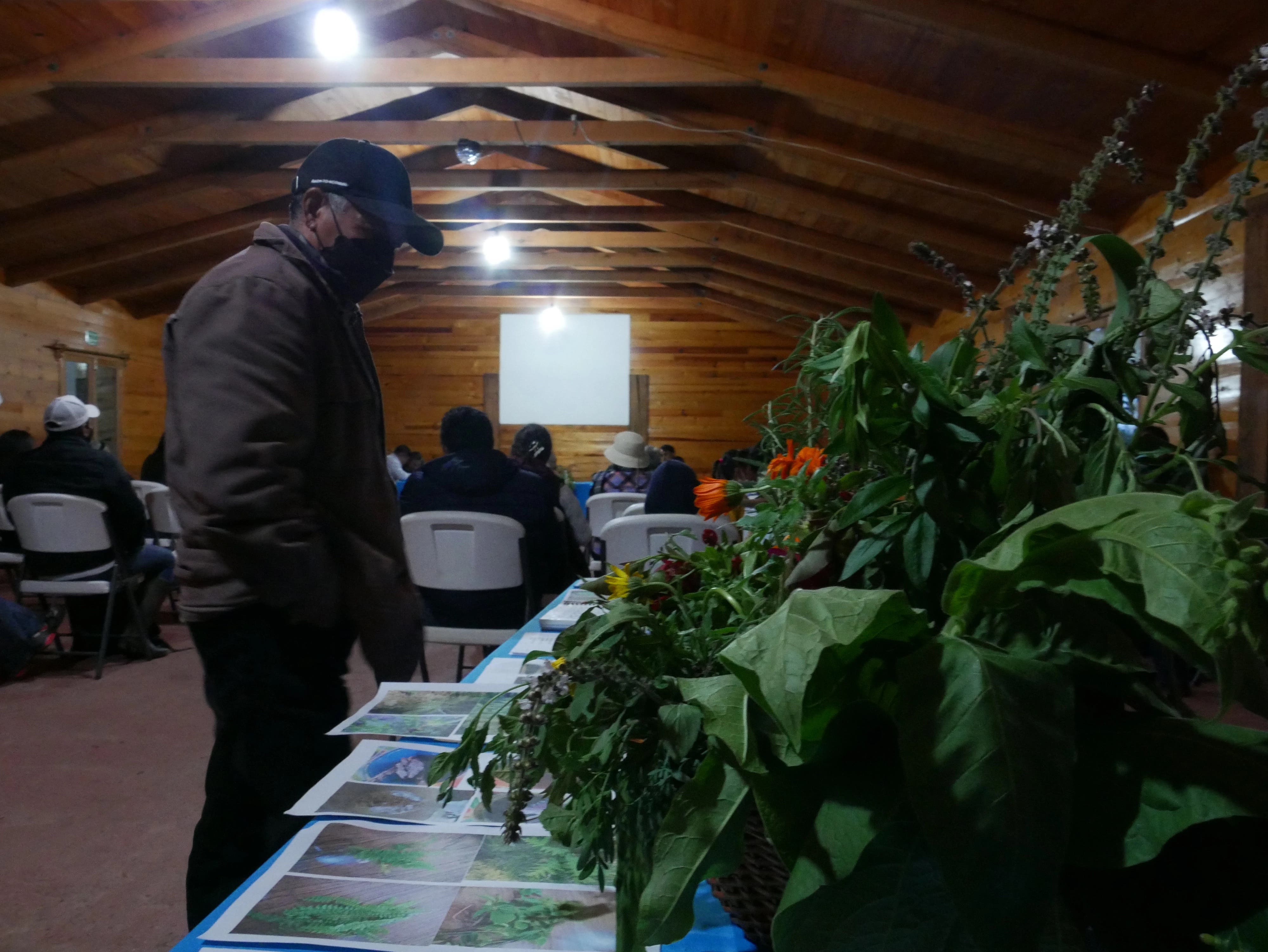 Macuiltianguis