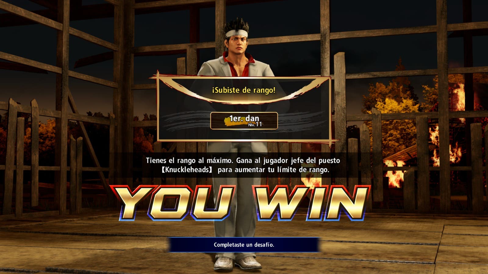 virtual fighter v SS9