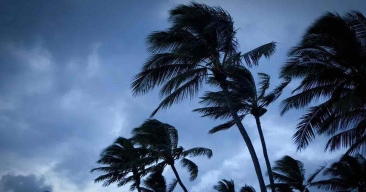 Tormenta tropical ‘Debby’ ¿afectará a México?