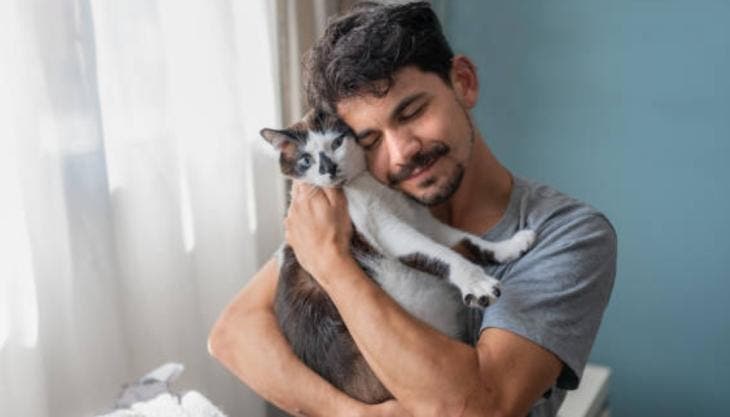 Mujer en la India demanda a su esposo por prestar más atención a su gato que a ella