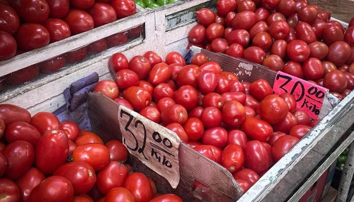 rechaza Sader Economia arancel 17 por ciento jitomate