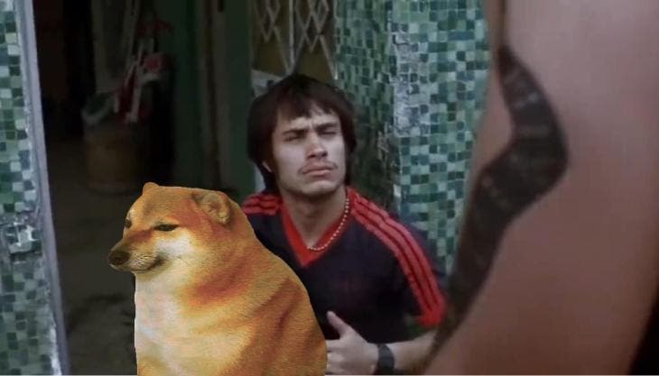 Amores Perros