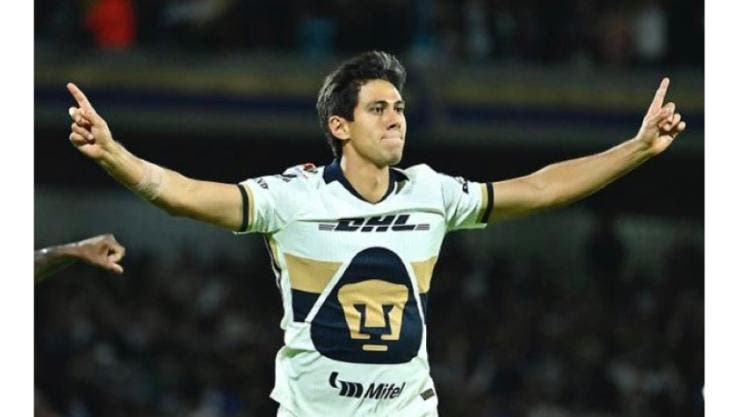 pumas.jpg
