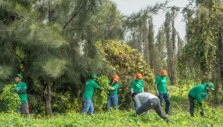 aporta voluntariado manos Xochimilco.jpg