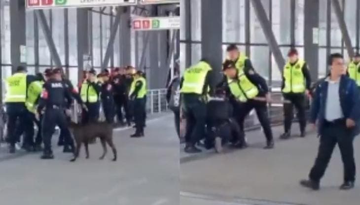 El incidente, captado en video y difundido en redes sociales, mostró momentos de tensión en los que incluso un perro negro se lanzó entre los uniformados