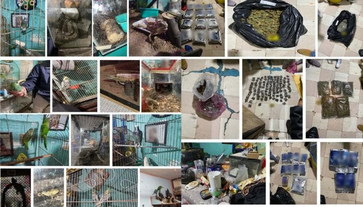 Una vez obtenida la autorización del Juez de Control, los agentes ingresaron al inmueble en un operativo conjunto.