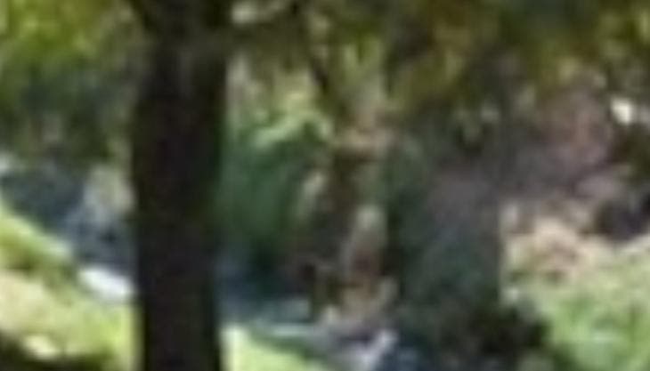 detienen robo sujeto San Juan Ixtayopan.jpg