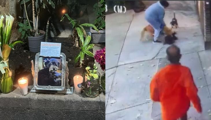 Vecinos de la zona piden que el caso avance ante las autoridades para determinar responsabilidades por el ataque.