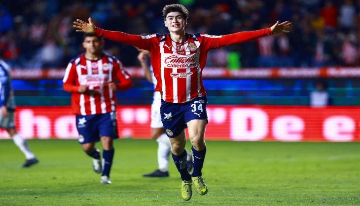 Hormiga a la selección 