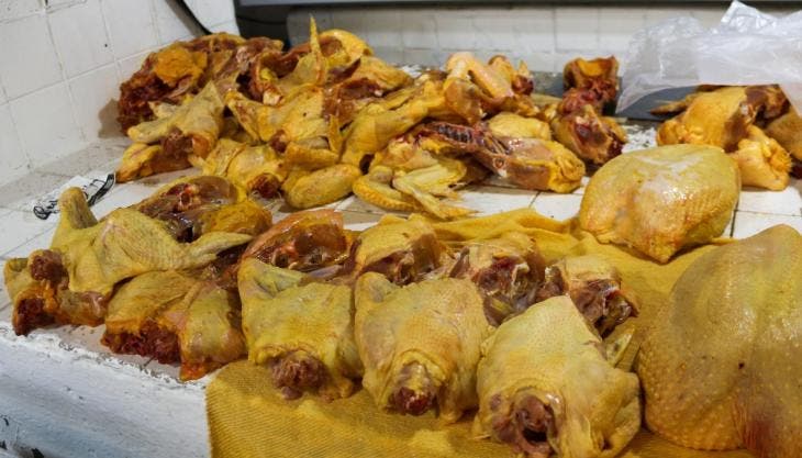 renueva gobierno IP Pacic.jpg