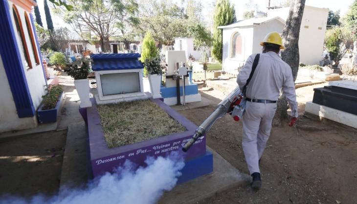 alerta epidemiologica rebrote Chikungunya Mexico.jpg