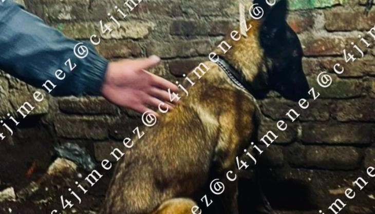 hallan cuerpo agente SSC Alvaro Obregon.jpg