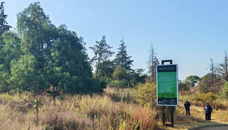 La FGJ investiga la muerte de un hombre no identificado hallado en el Cerro de la Estrella.