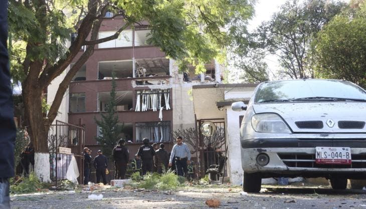 Debido a que varios departamentos funcionaban como hogar de mascotas, especialistas de la BVA acudieron para resguardar a los animales