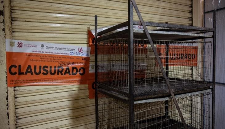 el secretario César Cravioto aseguró que el Gobierno capitalino mantendrá vigilancia constante para evitar el regreso de la venta de animales