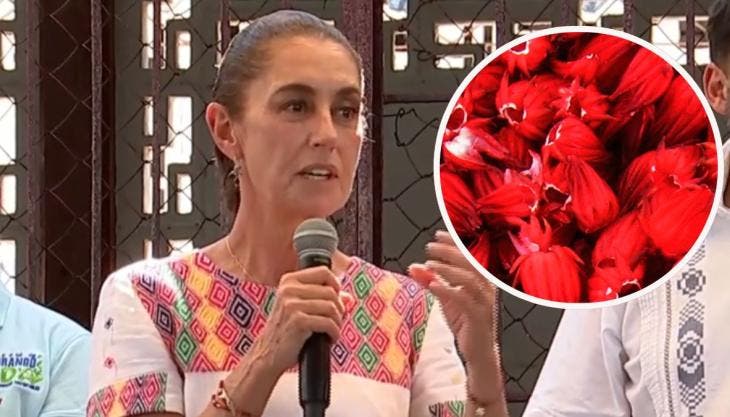 Claudia Sheinbaum Pardo