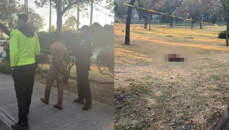 Según trascendió, el sujeto desolló a uno de los animales con el objetivo de despedazarlo e ingerirlo. Además, habría estado bajo el efecto de algún estupefaciente.