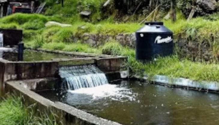 hallan maleta cuerpo mujer asesinada Los Dinamos.jpg