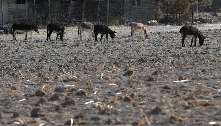logra sequia Mexico su nivel mas bajo seis anos.jpg