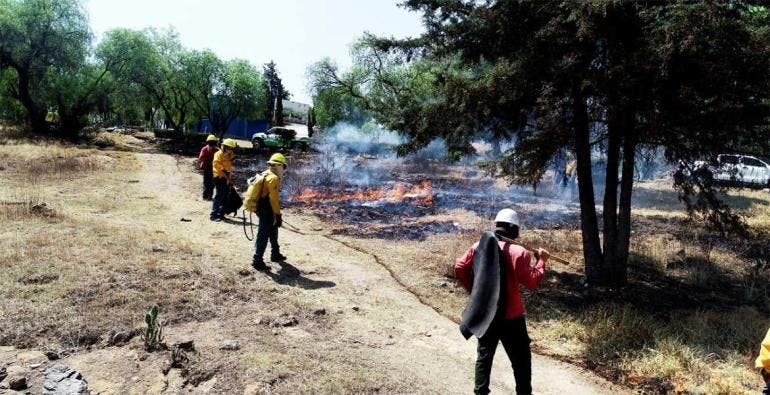 Disminuyen incendios en Edomex