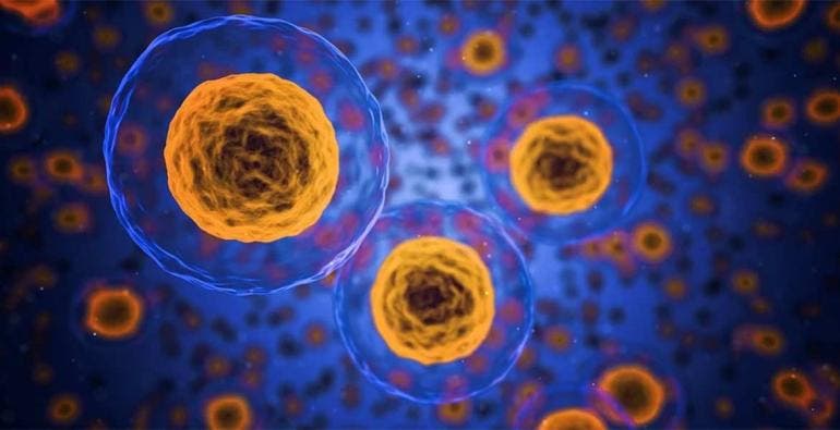 En hormonas masculinas, posible clave contra el cáncer de mama