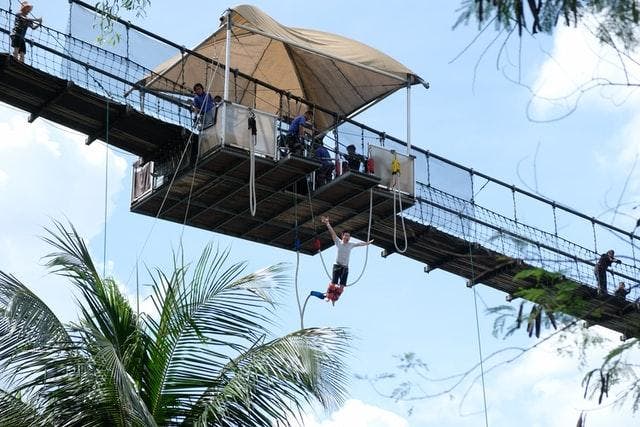 Bungee