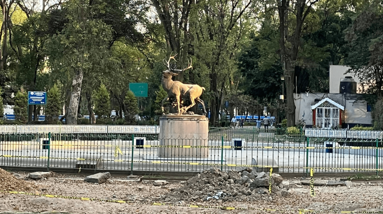 Parque de los Venados 