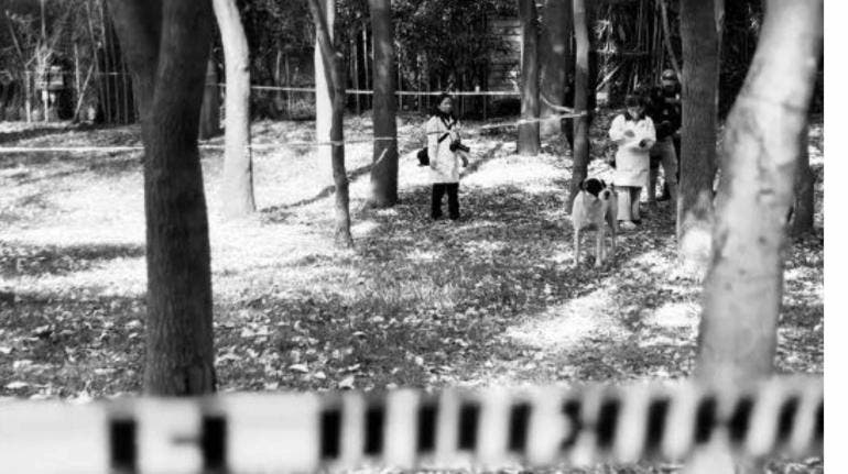 Otro perrito se encontró mutilado en Bosque de Nativitas