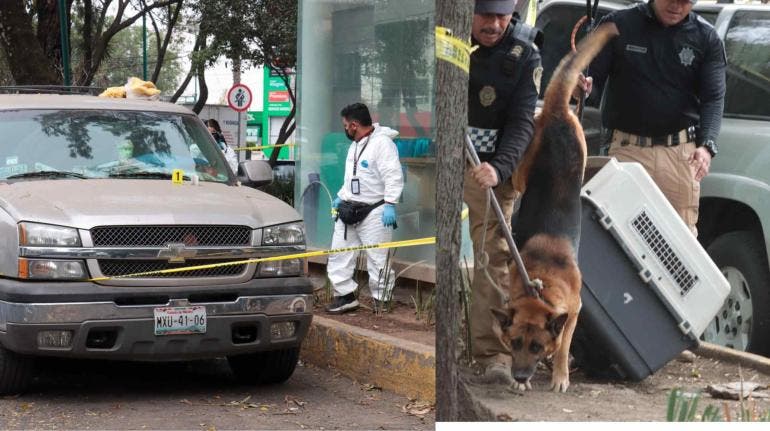 Peritos levantaron los restos humanos y personal de rescate animal aseguro al can de raza pastor Alemán